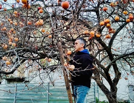 CUORGNE' - Cachi a «chilometri zero» e solidarietà: una tradizione che si ripete - FOTO