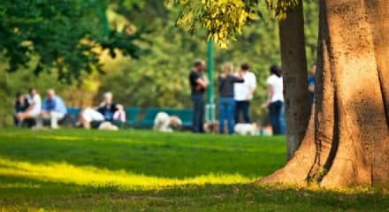 FAVRIA - Una nuova giostrina nel parco comunale Valentino
