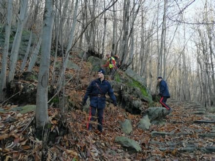 PONT CANAVESE - Esito negativo per le ricerche: ancora nessuna traccia di Elisa Gualandi - FOTO