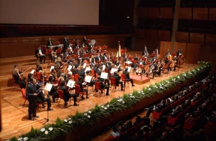 IVREA - Nasce il progetto «Sinfo-Ascolto» di musicoterapia