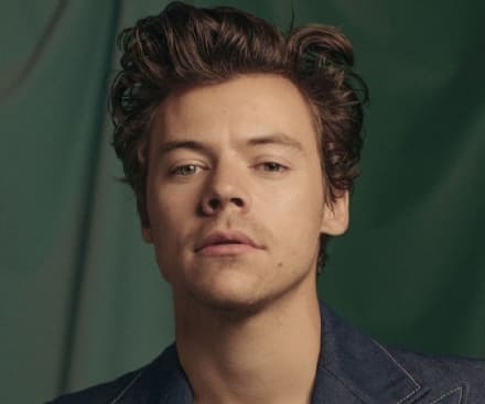 MUSICA – Studiando Harry Styles all’università