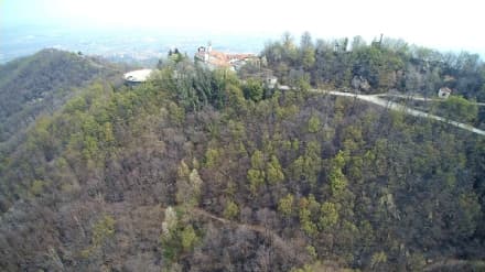 BELMONTE - Boschi distrutti dagli incendi: i danno sono enormi