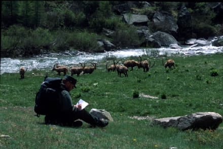 La storia di Sultano per celebrare la Giornata della Terra - VIDEO