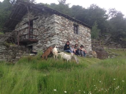 ALPETTE - L'aiuto di tutti per dare nuova vita all'Alpe Musrai