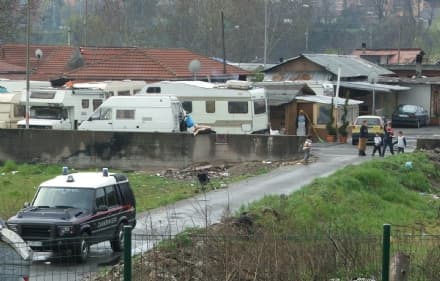 La schedatura pongolitica