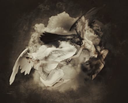 FOTOGRAFIA - Ylenia Viola premiata dai giudici del Sony World Photography Awards