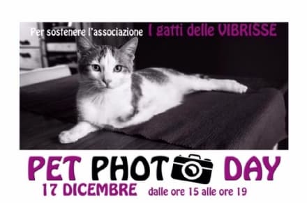 RIVAROLO - Un set fotografico per gli amici a quattro zampe