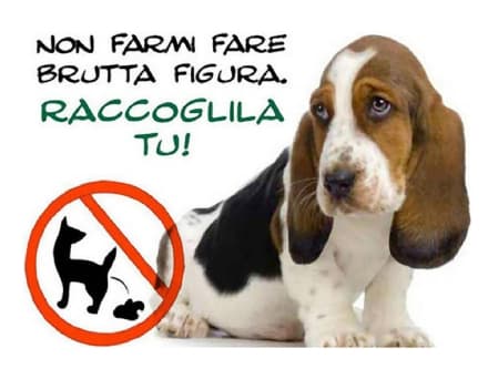 CANDIA - I cani la fanno ma i padroni non la raccolgono: allarme inciviltà lanciato dal Comune