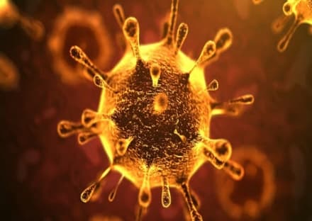 CORONAVIRUS IN CANAVESE - Aumentano i positivi a Ivrea e Chivasso. In Piemonte il totale ha raggiunto i 300 morti - LA MAPPA