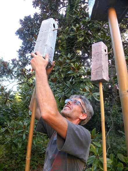 CASTELLAMONTE - Le «Organiche impressioni - teiere nell'immaginario ceramico» di Roberto Castellano