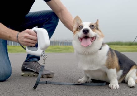 PET - Il guinzaglio multifunzione
