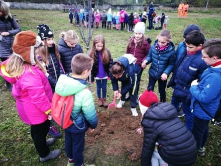 CUORGNE' - I bimbi hanno piantato nuovi alberi all'arcipelago dello sport