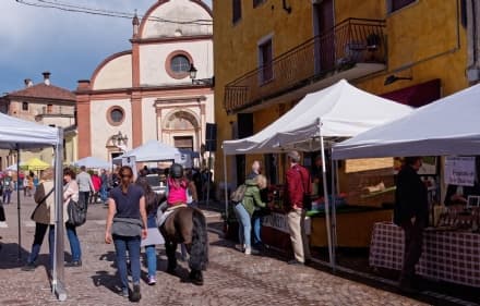 CANAVESE - Per il Festival della Reciprocità, da Torino ad Agliè, San Giorgio e Castellamonte con la corriera