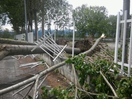 CANAVESE - Maltempo e forte vento: giù alberi e lamiere. Danni a Ivrea. Decine di chiamate ai vigili del fuoco