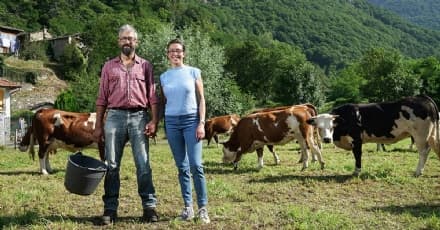 CANAVESE - «Voglio andare a vivere in montagna»: fino a 40 mila euro dalla Regione per chi si sposta in un piccolo Comune - ECCO DOVE