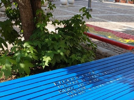 VOLPIANO - Panchine del Centro Jolly sul valore della diversità