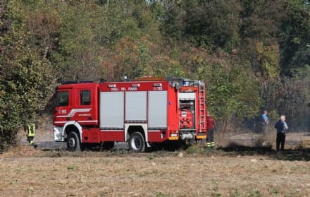 RIVAROLO - Un incendio minaccia il canile: cani in salvo - VIDEO
