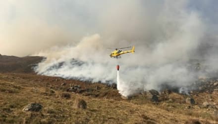 CANAVESE - Gli animali più forti degli incendi: nessuna carcassa ritrovata in Valle Orco