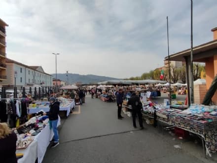 CHIVASSO - Mercato in crisi e pochi espositori: salta il tradizionale «Merca' d'la Tola» di ottobre