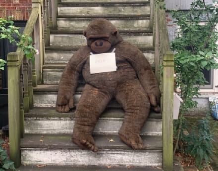 TREND - A caccia dei mobili lasciati per strada