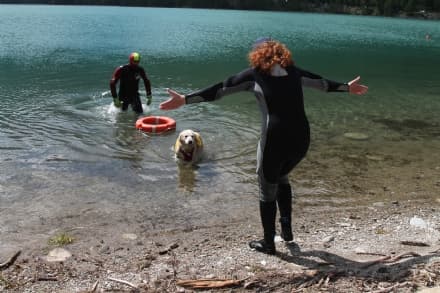 CERESOLE REALE - Cani da salvataggio nelle acque del lago - FOTO e VIDEO