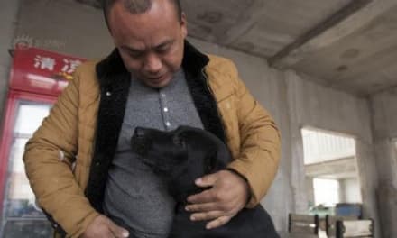 PET - La favola di Wang Yan