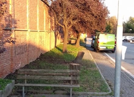 RIVAROLO - Marina Vittone: «Fermate il taglio degli alberi»