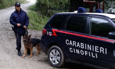CALUSO - Droga a scuola: uno studente di 17 anni nei guai