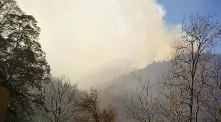 CANAVESE - Allerta incendi: bruciano i boschi sopra Ribordone. Il forte vento alimenta il fuoco