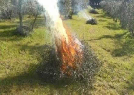 CANAVESE - Più potere ai sindaci per gli abbruciamenti agricoli