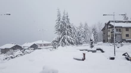 CERESOLE REALE - Nevica nel Parco nazionale del Gran Paradiso - FOTO