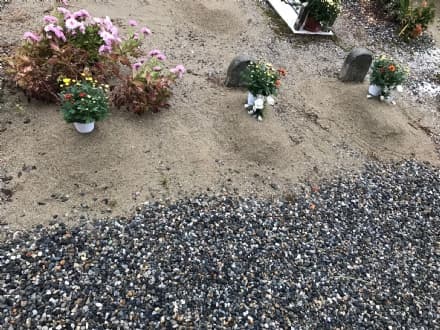BAIRO - Il sindaco porta i fiori sulle tombe dei cittadini che non hanno più nessuno che se ne occupi
