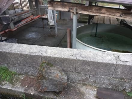 IVREA - Due nuovi incubatoi ittici per la conservazione delle specie in estinzione