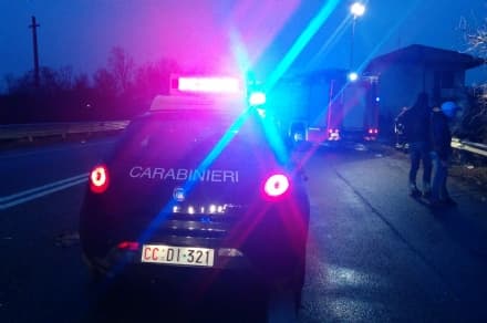 TRAGEDIA A CAPODANNO - Auto investe un cinghiale sulla strada regionale 11 a Chivasso: morta una donna