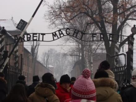 RIVAROLO - Dieci studenti salgono sul «Treno della Memoria»