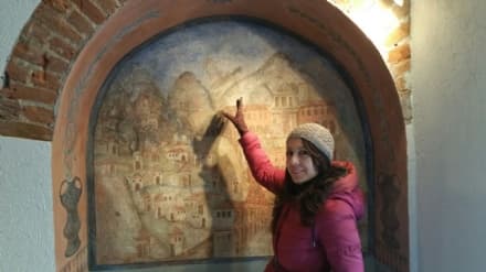 CASELLE - Una Madonna ha vegliato sulla sede del Partito Comunista - FOTO