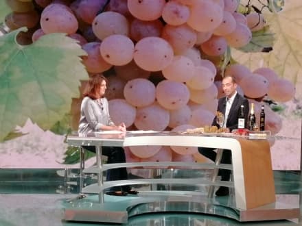 SAN GIORGIO - L'erbaluce e il Canavese in bella mostra su Rai Tre a Geo&Geo