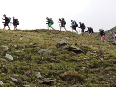 CANAVESE - Campi estivi nel Parco Nazionale del Gran Paradiso