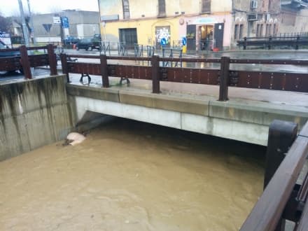 ALLERTA MALTEMPO - A Castellamonte rio San Pietro sotto controllo