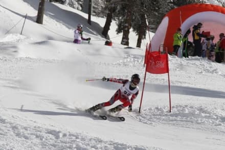 SCI - Campionati Canavesani: trionfa lo Sci Club Valchiusella - FOTO