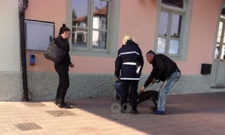 RIVAROLO - Paura in stazione: pit-bull morde passeggeri. Due portati in ospedale - FOTO