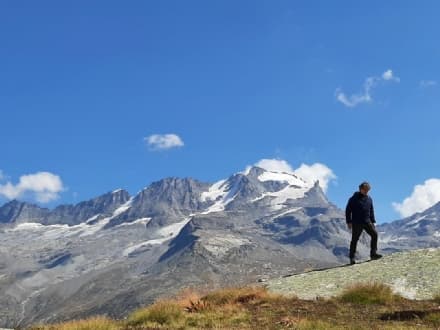 CERESOLE REALE - Martedi su Rai Uno in prima sera il Parco Nazionale del Gran Paradiso con Alberto Angela