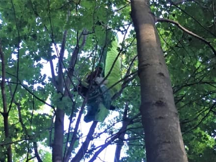 BROSSO - Parapendista precipita dal monte Cavallaria dopo il decollo e resta appeso ad un albero - FOTO