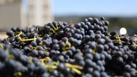 COVID - La Regione chiede di intensificare i controlli sulla manodopera estera