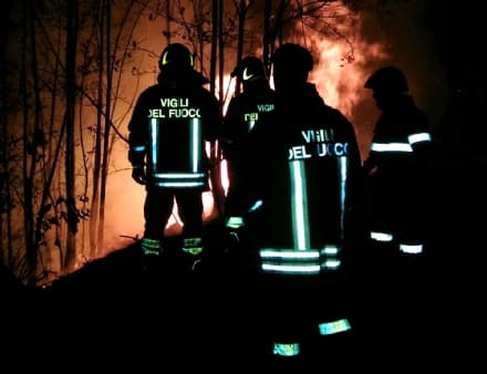 CINTANO - Va a fuoco un bosco: ennesimo incendio sospetto