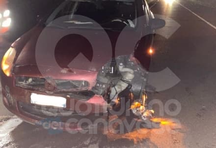 VALPERGA - Incidente sulla 460: auto investe e uccide un cinghiale che stava attraversando