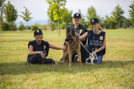 TORINO E PROVINCIA - Aperte le iscrizioni al corso gratuito per guardie zoofile Oipa