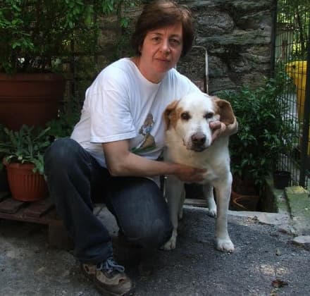 PONT CANAVESE - Il piccolo canile rischia di chiudere