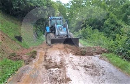 TEMPORALI IN CANAVESE - Raffica di alberi abbattuti dal vento, interventi dei vigili del fuoco - FOTO