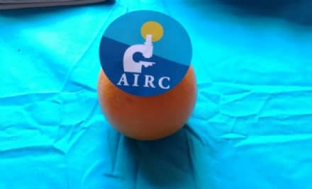  SAN GIORGIO CANAVESE - «Cancro io ti boccio», i ragazzi della scuola sostengono la ricerca